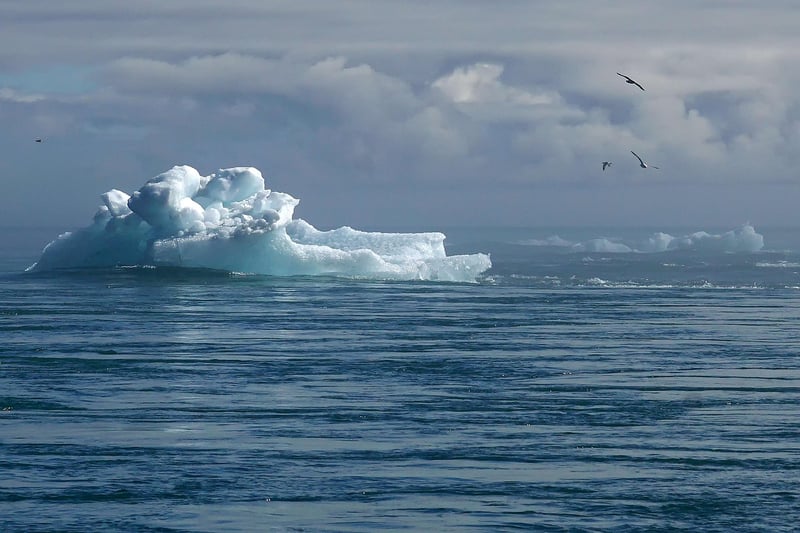 Environmental Activism
